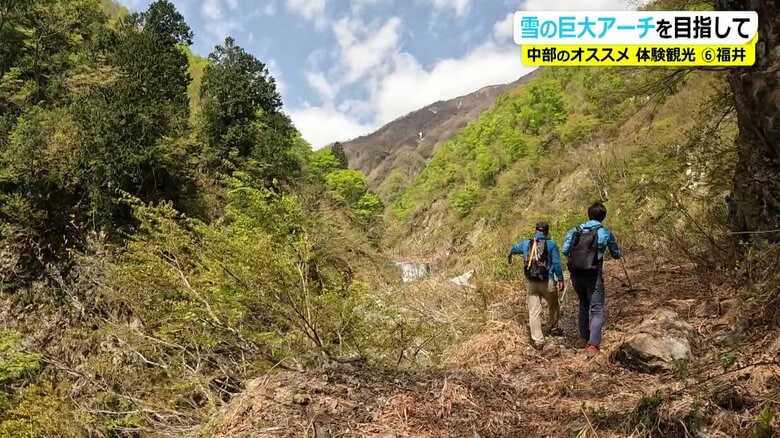 歩くこと約30分…山肌に雪の姿が