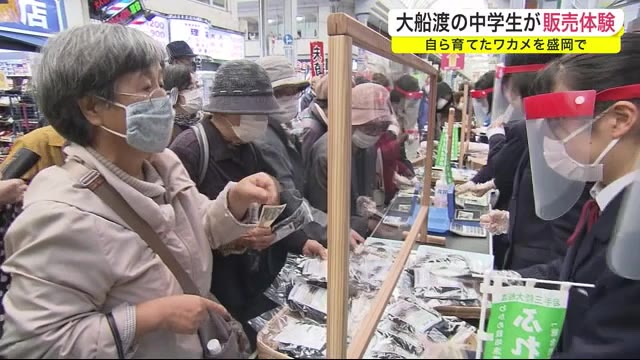 自ら育てたワカメを盛岡で販売 大船渡の中学生が体験 800袋完売<岩手県>