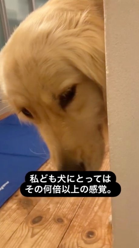 提供：エマさん