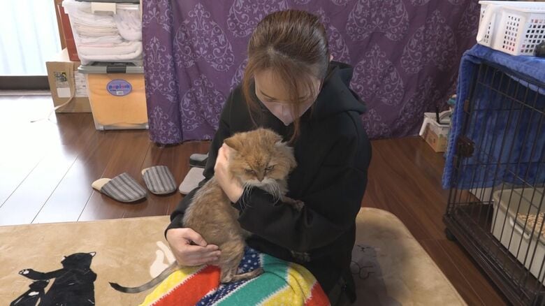 自宅で「雷」を世話する後藤さん