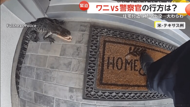 たった1人でワニに挑んだ警察官
