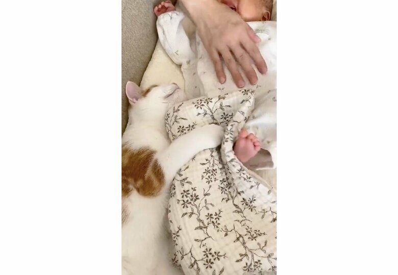 提供：こなつさん