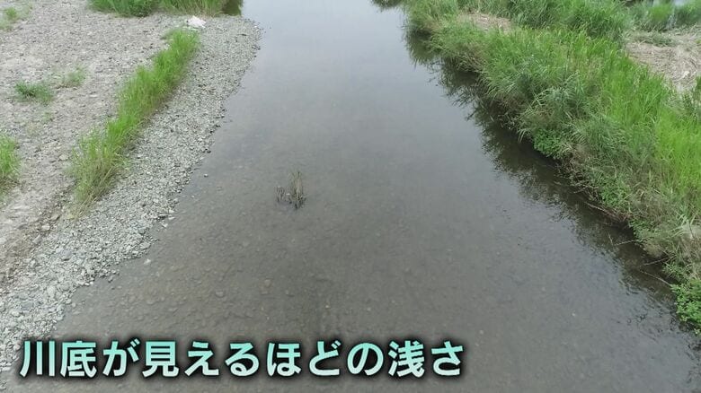 女の子たちが最初に遊んでいた犬鳴川支流の山口川