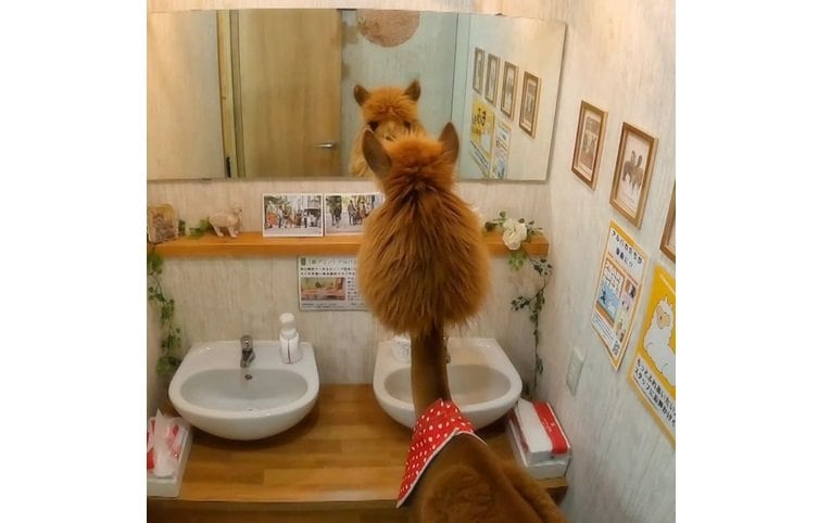 カット後の自分が気になる？さつきちゃん