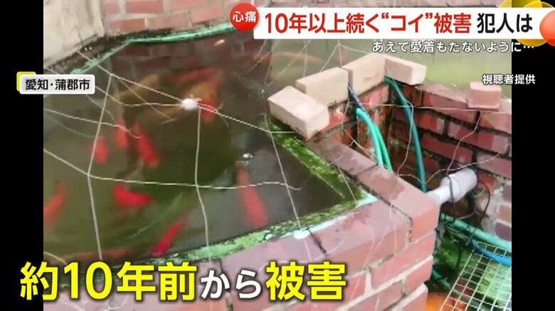 約10年前から被害に遭っているという