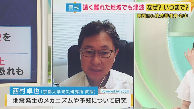 京都大学防災研究所 西村卓也教授