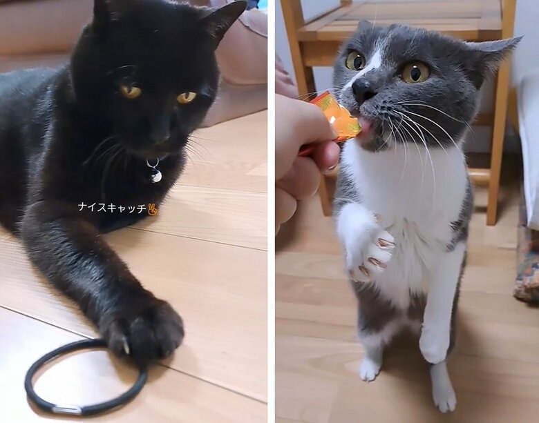 左：ふくくん　右：さちちゃん