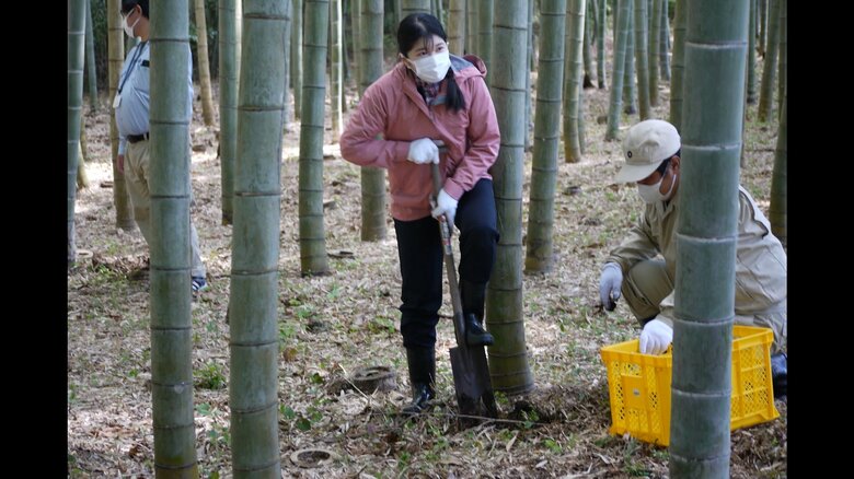 タケノコ掘りに臨まれる愛子さま