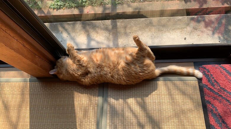 自宅に“落ちている”ことも