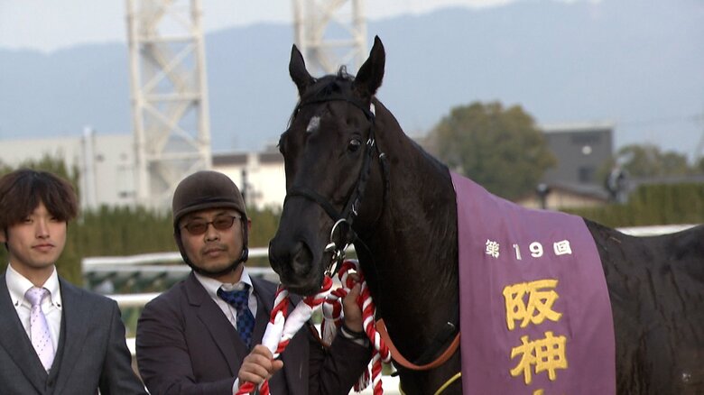 2024年の阪神Cを制したナムラクレア