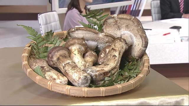 秋の味覚の王様マツタケ 県産なのになぜ安い?<岩手県>