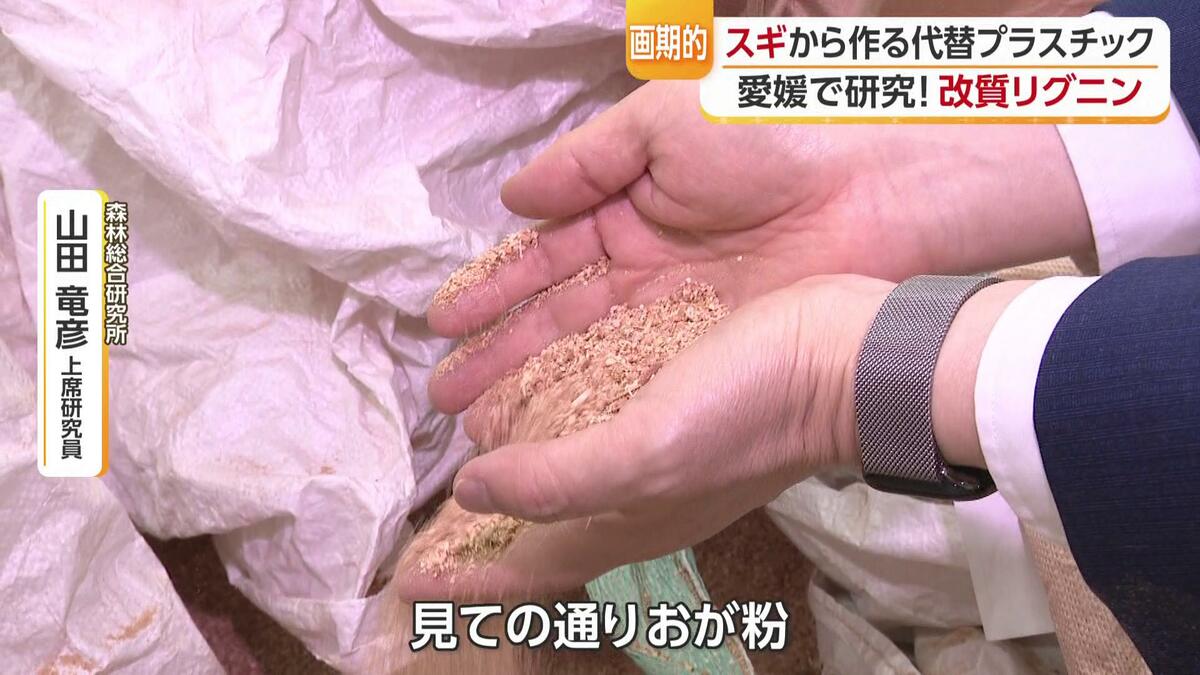 鬼の町・鬼北町に世界初の工場が誕生！「捨てられていた木くず」が高