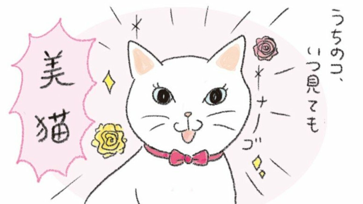 猫あるある漫画】なんでそんなに猫しぐさ 第1回「ギャップ萌え」｜FNN
