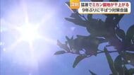 猛暑と３０日間雨なくミカン日焼け　宇和島で被害出始め農家苦境　地元ＪＡが干ばつ対策本部設置【愛媛】