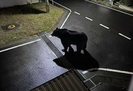 【速報】女川町でクマ目撃情報「ここ15年で初」夜の保育所付近に1頭　町がSNSで画像付きで注意喚起