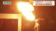  県庁舎跡地で11月からサーカス公演　4万人の集客見込む　長崎市での開催は11年ぶり