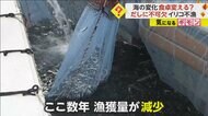 【讃岐うどんに影響】”だしに不可欠”イリコ香川で不漁が続く　エサ減少か卵質低下か　一方で広島シラス漁初日は大漁