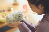 個性は400万通り以上!?触れ合うことで成長するペットロボット“Moflin”が可愛い…どんな風に“飼い主”に懐くのか聞いた