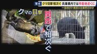 神戸・西宮・宝塚でも関西でクマ目撃相次ぐ　専門家「行動が活発になる時期」　調査するも「痕跡なし」道路使って通り抜けたか　対策を急ぐ自治体