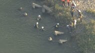 滋賀・野洲川で男子高校生2人流され行方不明　「1人溺れ、助けに入った1人も溺れた」と通報　遊泳中だったか