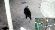 【道路にも畑にも足跡が】市街地でクマ出没相次ぐ…「怖い」「30年で初めて」住民からも不安の声＿夜に町を歩く姿“防犯カメラ”がとらえる『ばったり出くわさないように注意を』〈北海道士別市〉