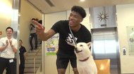八村塁が白戸家に登場 実はお父さん犬が...弱点!?
