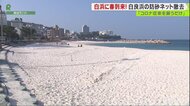 和歌山・白良浜の「防砂ネット」撤去…春の観光シーズンに向け準…