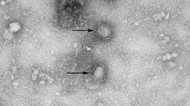 【速報】新型コロナ 東京都で新たに4066人の感染確認 日曜日としては過去最多