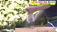 静岡・日本平の魅力を発信 食と芸術と絶景を楽しむイベント初開催