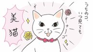 【猫あるある漫画】なんでそんなに猫しぐさ　第1回「ギャップ萌え」
