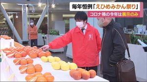 毎年恒例「えひめみかん祭り」 今年は感染防止のため販売・イベント中止に【愛媛】
