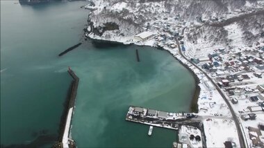 北海道の海岸に異変!?海水が牛乳さながら真っ白…原因は雪国に“春を告げる”魚の大群!