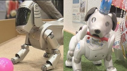 世界を驚かせた「アイボ」誕生から四半世紀…AI搭載で進化する『ペットロボット』育て方で400万通り以上の“個性”も