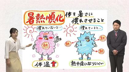 ”Let’sお天気フィットネス！”古山予報士が伝授する「暑熱順化」　汗を上手にかきながら熱中症を回避する方法とは