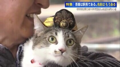 全国からネコファン来訪！ 広島のローカル鉄道に客を招く「ネコ駅長」愛された初代ネコ駅長“りょうま”から5年ぶりの就任