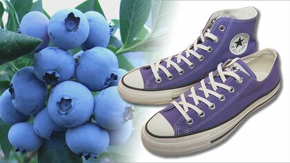 「コンバース」の目にとまり異色コラボ…鮮やかな紫は“ブルーベリーの搾りかす”　地球に優しいスニーカー誕生【長野発】
