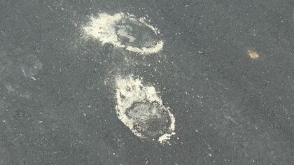 クマが餌を求めて人里に　1日に3人襲われる被害も…大量出没した時と似た傾向　県内初「出没警報」パトロール強化