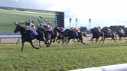 【阪神ジュベナイルフィリーズ】数々の名牝がここから羽ばたいた　ニューヒロイン誕生！来年クラシックへと繋げるのはどの馬か？