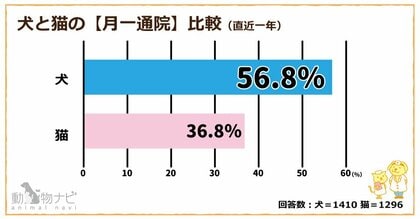 ペット業界必見！犬は予防医療が習慣化、猫は通院ストレスが課題──動物ナビユーザー2,706名調査