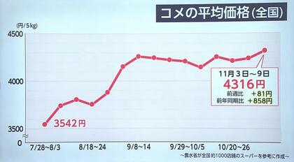 コメ価格「過去最高」5kg4316円に　割安な“複数原料米”の売れ行き伸びる　消費者「下がることはもうない」「パンで代用」あきらめも