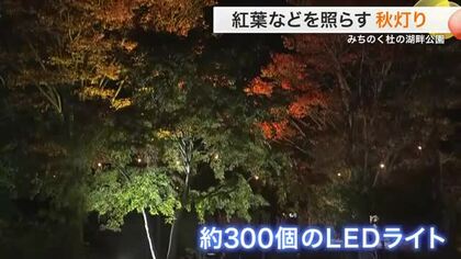 紅葉と古民家が幻想的に　みちのく杜の湖畔公園でライトアップ開始〈宮城・川崎町〉
