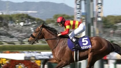 JRA 競馬ファン必見❗️ 宝塚記念優勝記念ボトル（木箱入） 【公式通販】