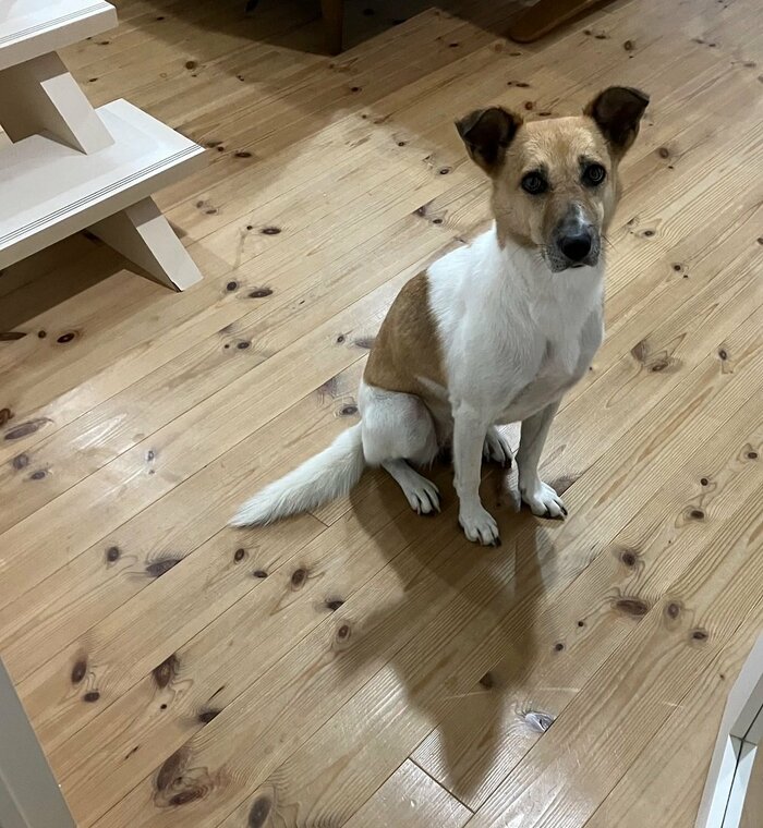 2年半の暮らしの中で初めてのお出迎え