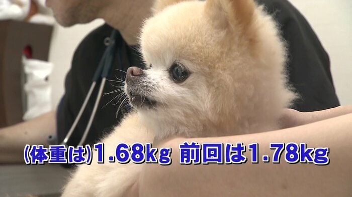 体重が極端に低下