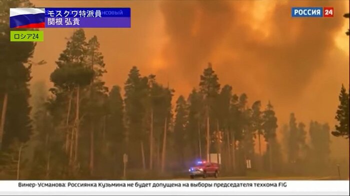 森林火災の焼失面積が約1820万ヘクタール 21世紀で最大