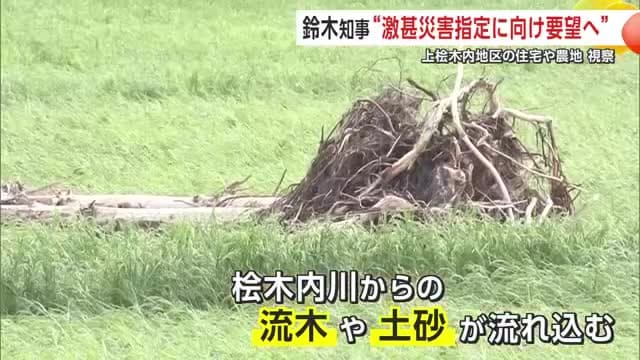 田んぼに流れ込んだ木