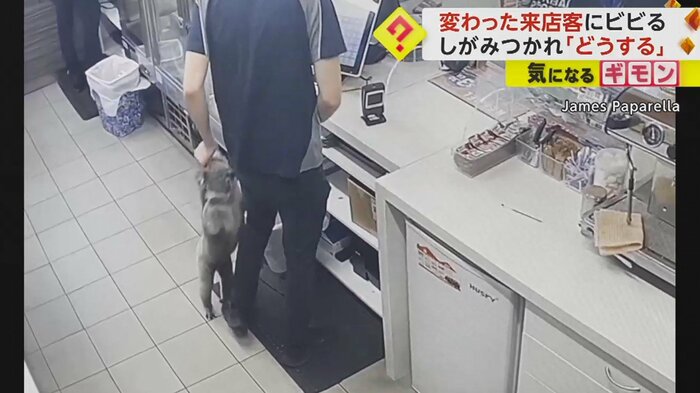 店員に近づき、脚に飛びいた