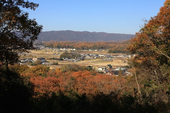 石井山陣からの眺め。田園地帯の中央の木立が備中高松城本丸