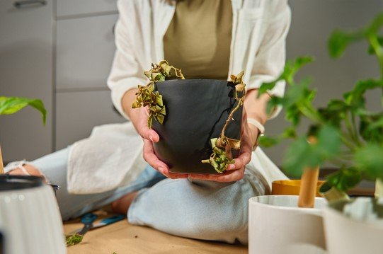 元気がないのは過保護が原因かも（画像はイメージ）