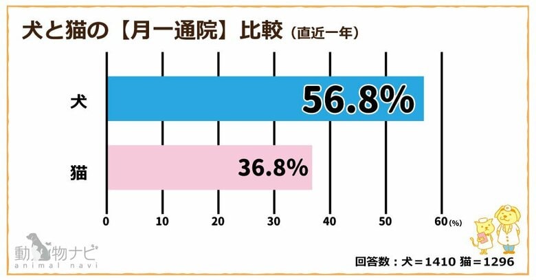 ペット業界必見！犬は予防医療が習慣化、猫は通院ストレスが課題──動物ナビユーザー2,706名調査